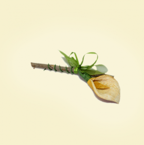 Calla segna posto su legno di ulivo