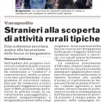 articoli giornali bergArte gazzetta del sud del 04/05/2014