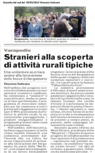articoli giornali bergArte gazzetta del sud del 04/05/2014